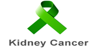 Best Kidney transplant Surgeon india, best kidney transplant hospital in punjab, Best urologist, super Specialist kidney surgeon chandigarh, mohali, panchkula, 
 leading Uro oncologist ludhiana, HP, Baddi, Punjab, himachal, haryana, 