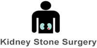 Best Kidney transplant Surgeon india, best kidney transplant hospital in punjab, Best urologist, super Specialist kidney surgeon chandigarh, mohali, panchkula, 
 leading Uro oncologist ludhiana, HP, Baddi, Punjab, himachal, haryana, 