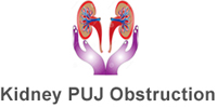 Best Kidney transplant Surgeon india, best kidney transplant hospital in punjab, Best urologist, super Specialist kidney surgeon chandigarh, mohali, panchkula, 