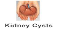 Best Kidney transplant Surgeon india, best kidney transplant hospital in punjab, Best urologist, super Specialist kidney surgeon chandigarh, mohali, panchkula, 
 leading Uro oncologist ludhiana, HP, Baddi, Punjab, himachal, haryana, 