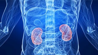 Best Kidney transplant Surgeon india, best kidney transplant hospital in punjab, Best urologist, super Specialist kidney surgeon chandigarh, mohali, panchkula, 
 leading Uro oncologist ludhiana, HP, Baddi, Punjab, himachal, haryana, 