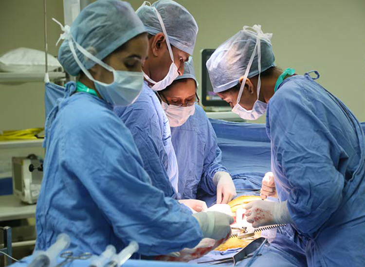 Best Kidney transplant Surgeon india, best kidney transplant hospital in punjab, Best urologist, super Specialist kidney surgeon chandigarh, mohali, panchkula, leading Uro oncologist ludhiana, HP, Baddi, Punjab, himachal, haryana